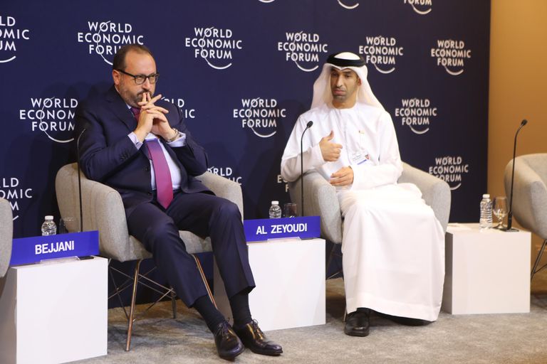 الزيودي خلال مشاركته في فعاليات منتدى دافوس