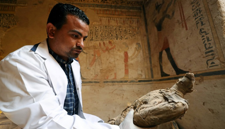اكتشاف مقبرة تعود لعصر البطالمة في صعيد مصر 