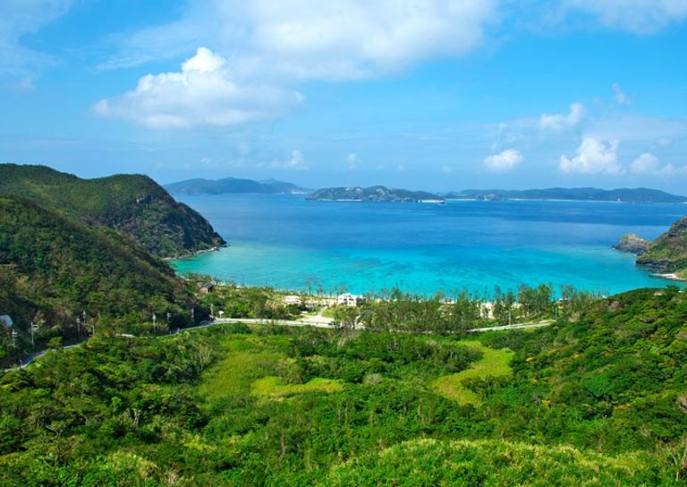 السكان يأكلون 7 فواكه مختلفة وخضراوات و18 نوع طعام مختلف في اليوم