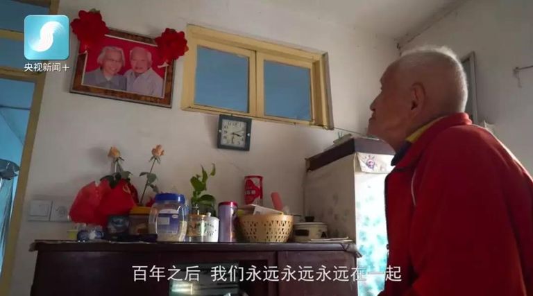 عجوز يسافر إلى القارة القطبية بصحبة صورة زوجة المتوفية