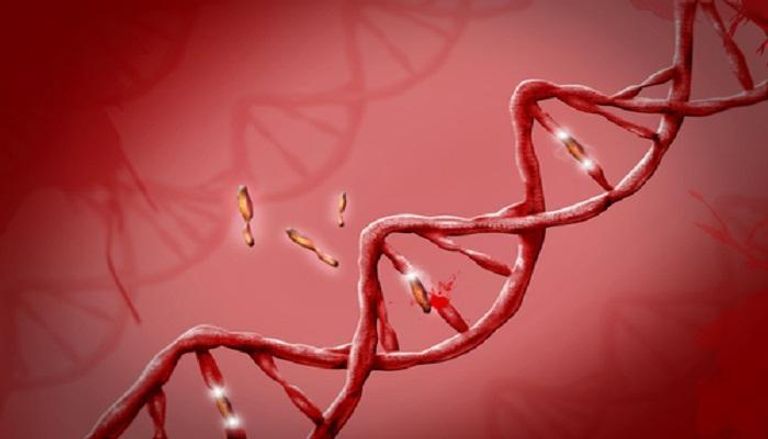 العقم أحد أخطر العواقب الناجمة عن الإصابة ببعض الأمراض التناسلية