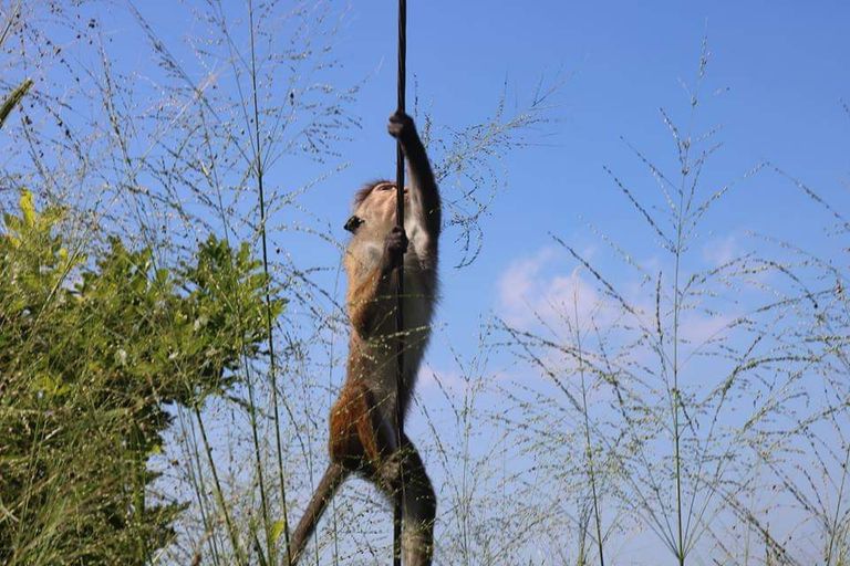 أرخص المزارات السياحية والسفاري في سريلانكا