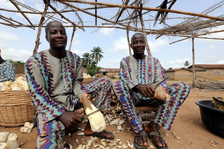 ولادة التوائم تشيع في مجموعة يوروبا العرقية بنيجيريا