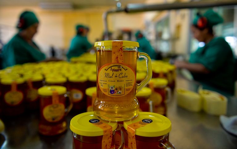 تجارة العسل الكوبي تزدهر بفضل نقاء الريف