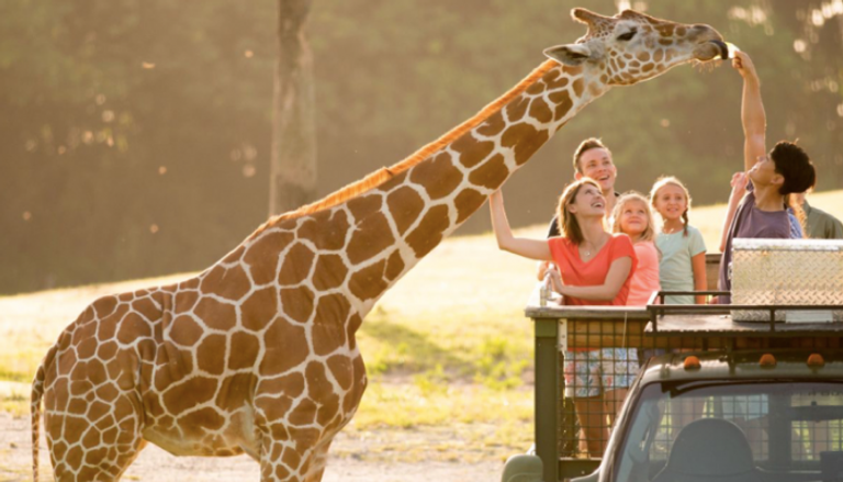 موجز العين للسياحة