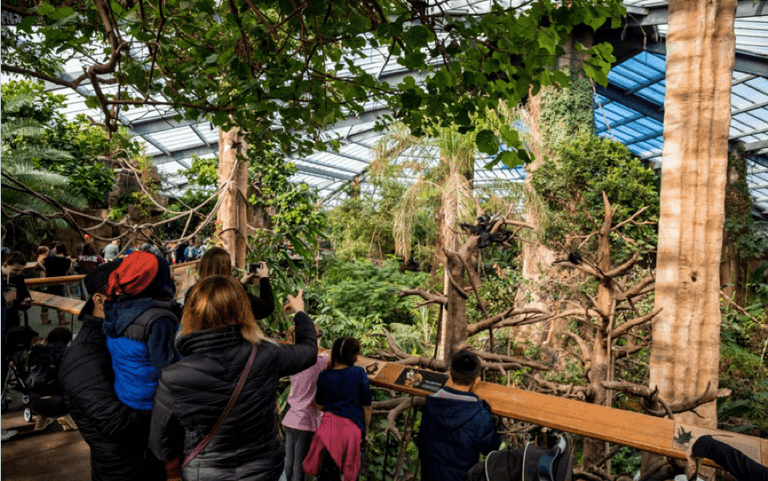 حديقة تامبا