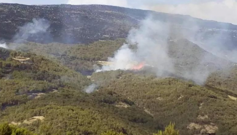 حريق ضخم بحدائق جبال سيمين في إثيوبيا