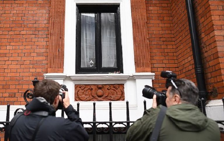 قط جوليان أسانج