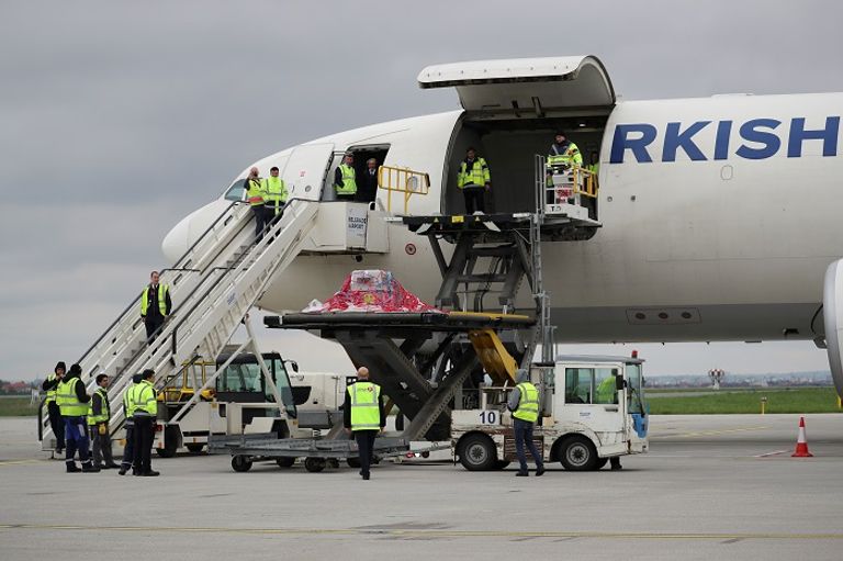 أنثى نسر شاردة عادت إلى عشها بطائرة تجارية