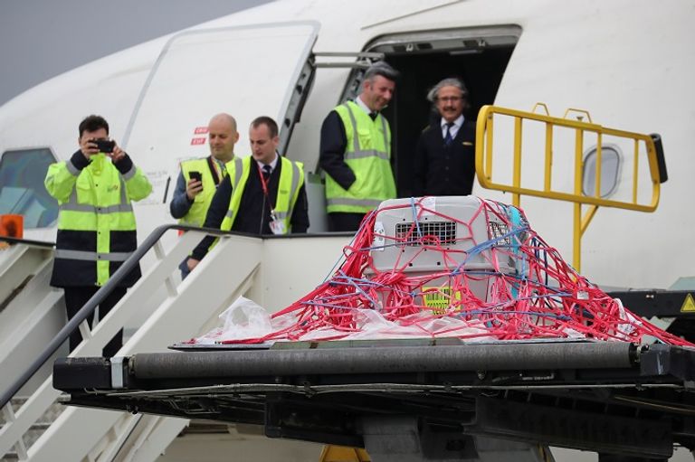 أنثى نسر شاردة عادت إلى عشها بطائرة تجارية