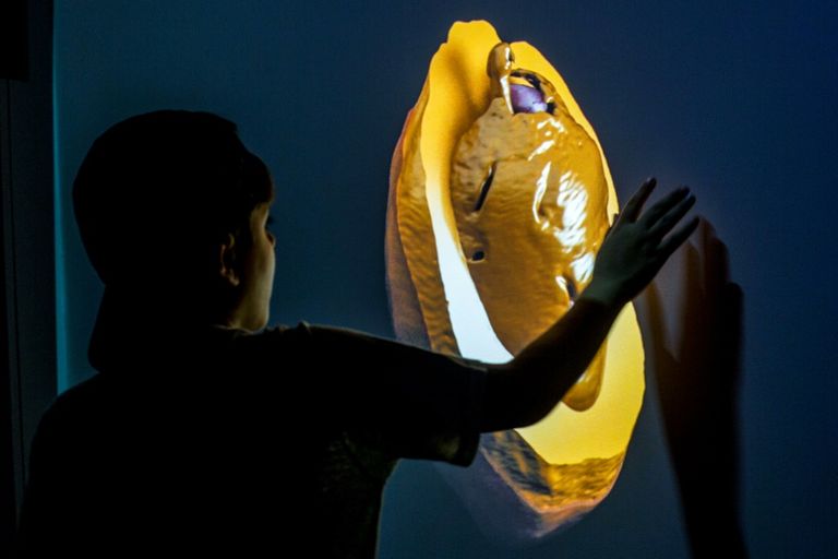 معرض "براتودوموندو" في مدينة ريو دي جانيرو البرازيلية