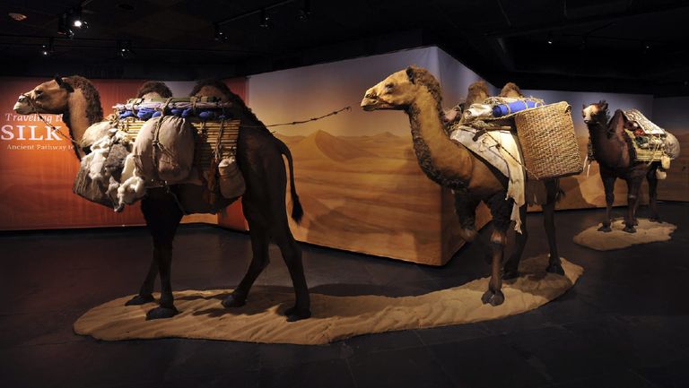 شعار مهرجان الشارقة القرائي للطفل