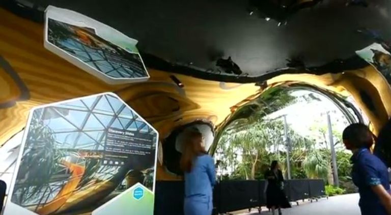 سنغافورة تستعد لتدشين أعلى شلال مياه داخلي في العالم