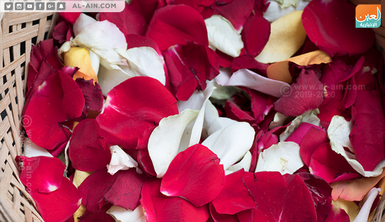 الزهور في إثيوبيا.. لكل مناسبة لون