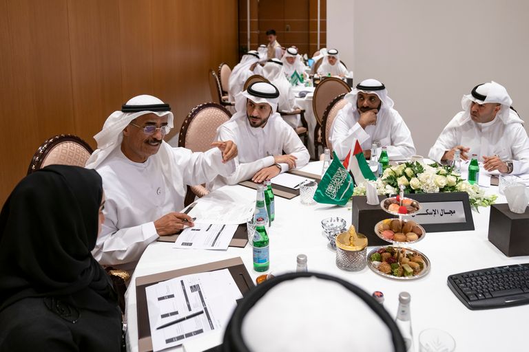الاجتماع الثاني للجنة التنفيذية لمجلس التنسيق السعودي الإماراتي 