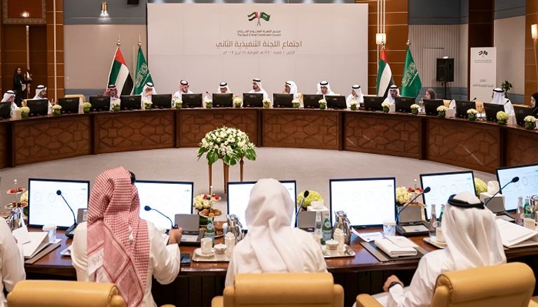 تشكيل اللجنة التنفيذية لمجلس التنسيق السعودي الإماراتي