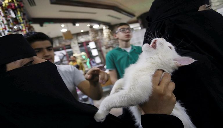 مبادرة سعودية لإيواء قطط وكلاب الشوارع