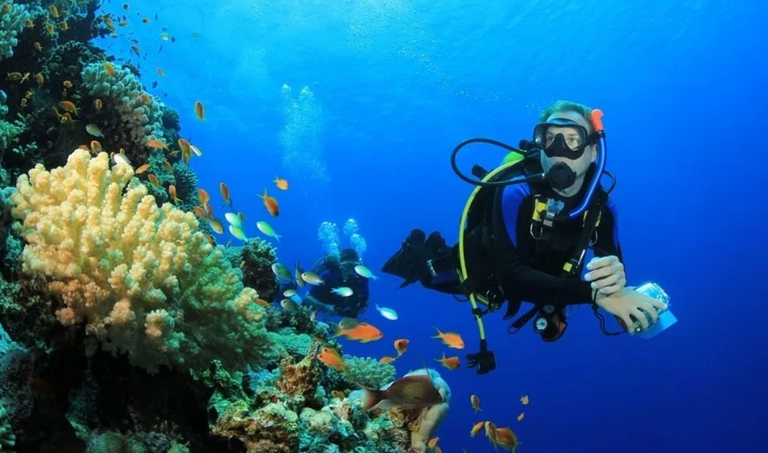 قوس كابو دي سان لوكاس