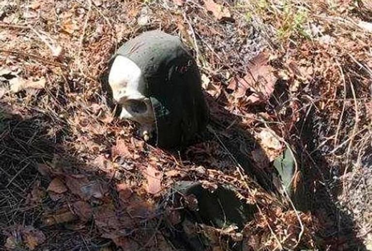  الرحالة الروسي إيفان كليوتشاريف