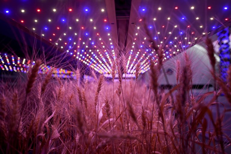 القاعدة تحاكي كوكب المريخ