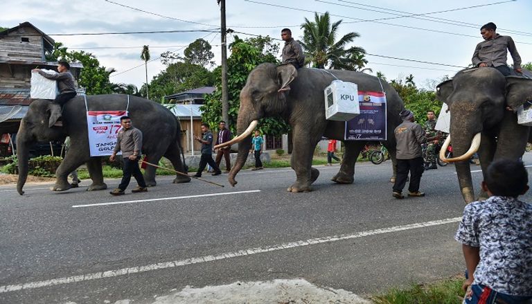 الأفيال تنقل صناديق الاقتراع - الفرنسية
