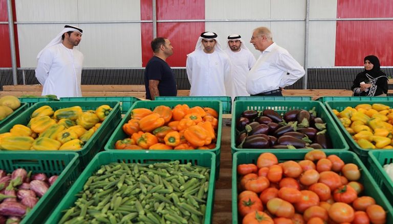 الدكتور ثاني بن أحمد الزيودي يزور  مزرعة 