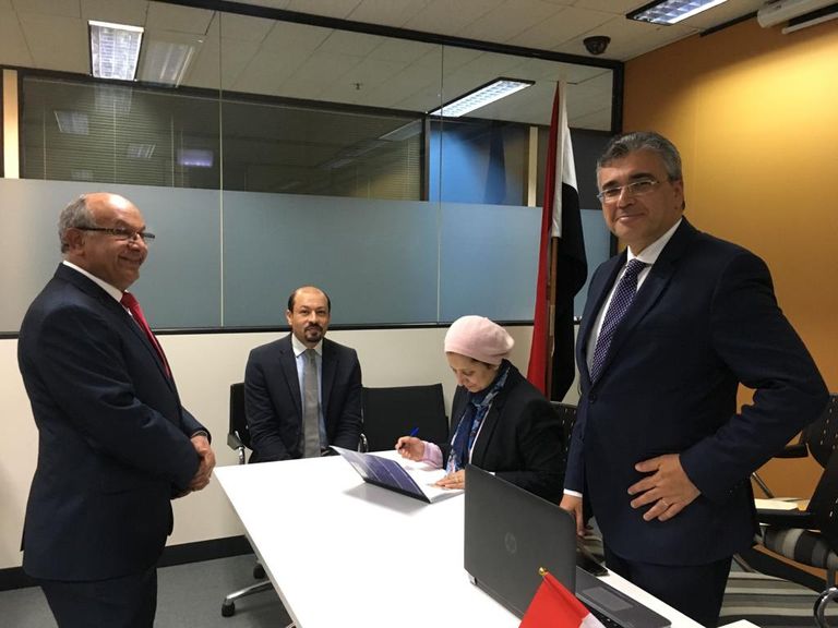 تصويت المصريين في الخارج على التعديلات الدستورية