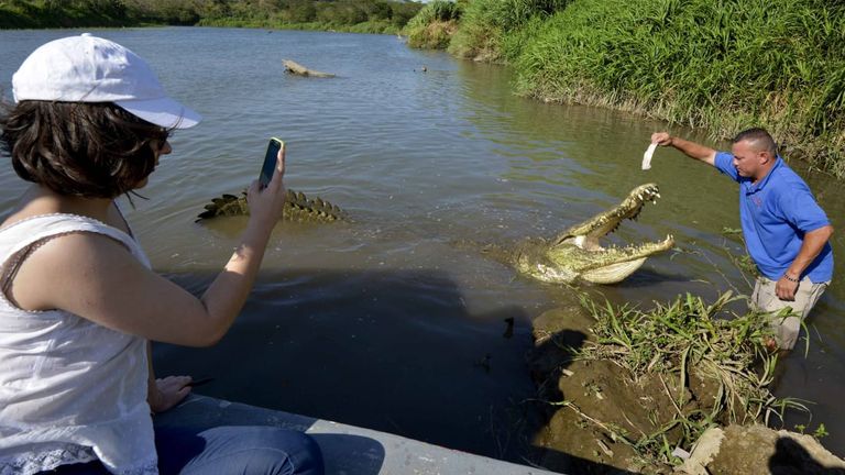 السياح يتوقفون لالتقاط صور الزواحف الخطيرة