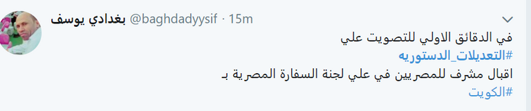 تصويت المصريين في الخارج على التعديلات الدستورية