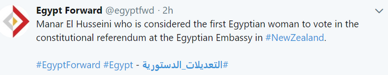 تصويت المصريين في الخارج على التعديلات الدستورية