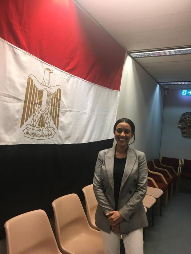 تصويت المصريين في الخارج على التعديلات الدستورية