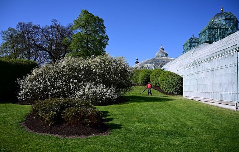 البيوت الزجاجية الملكية في بروكسل