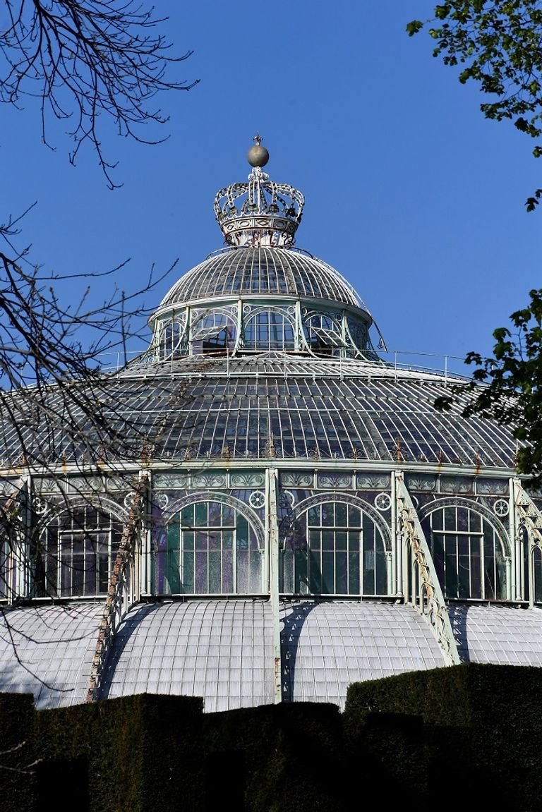 البيوت الزجاجية الملكية في بروكسل