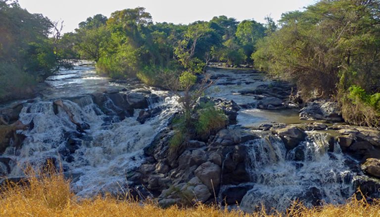 حديقة أواش الوطنية في إثيوبيا