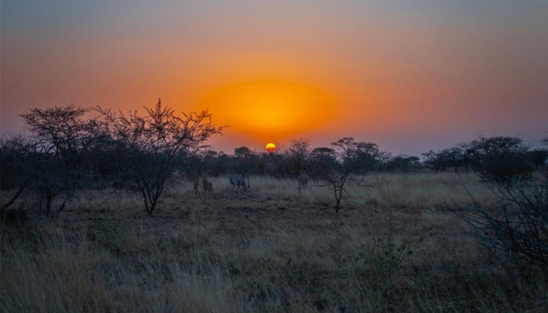 حديقة أواش الوطنية في إثيوبيا