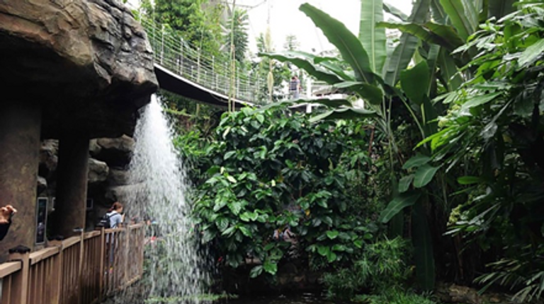 تتميز جزيرة جيجو بالعديد من المرافق السياحية