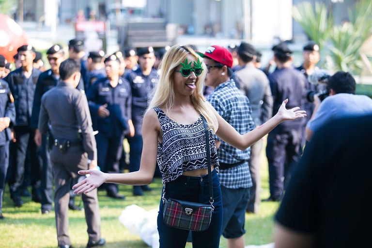 المشاركون في مهرجان يطالبون بالموافقة على زراعته في المنازل