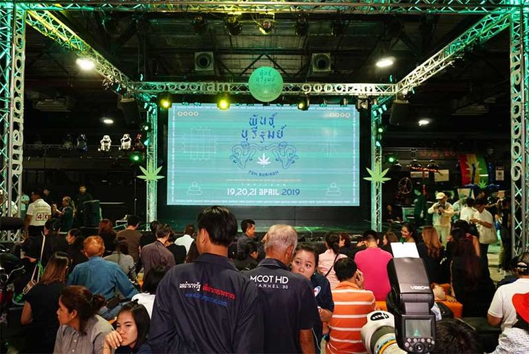 المشاركون في مهرجان يطالبون بالموافقة على زراعته في المنازل