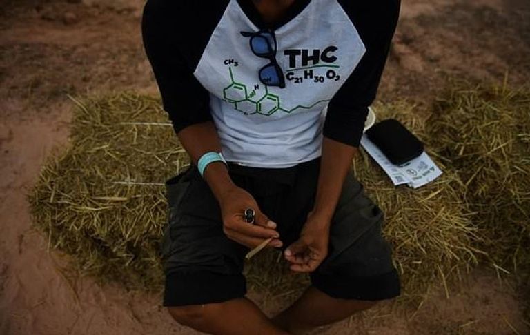 المشاركون في مهرجان يطالبون بالموافقة على زراعته في المنازل