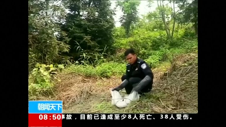 أفعى بطول 2.7 متر داخل محرك سيارة في الصين