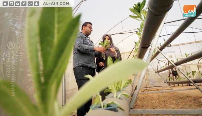 المهندسان الزراعيان عازم وصفية أبو دقة في قطاع غزة