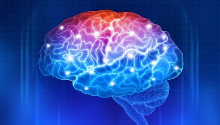 موجز العين الاقتصادي