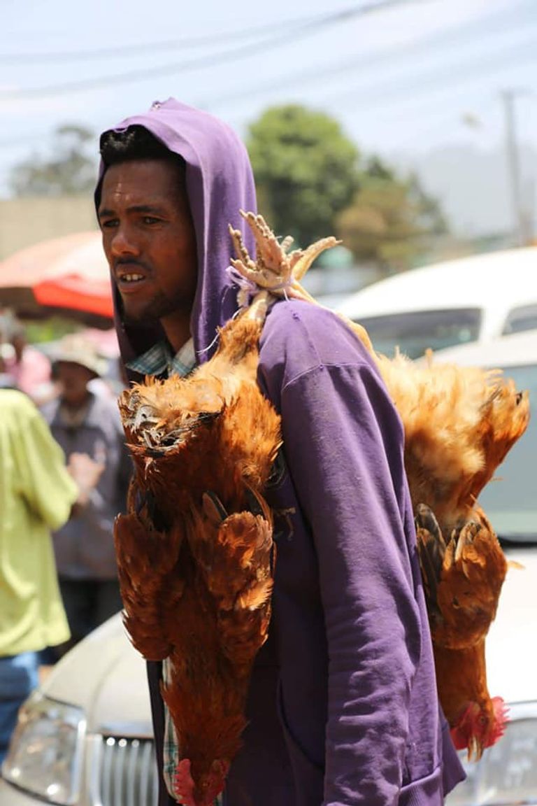 أحد باعة الدواجن في سوق بأديس أبابا