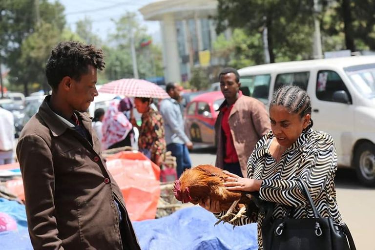 أحد باعة الدواجن في سوق بأديس أبابا