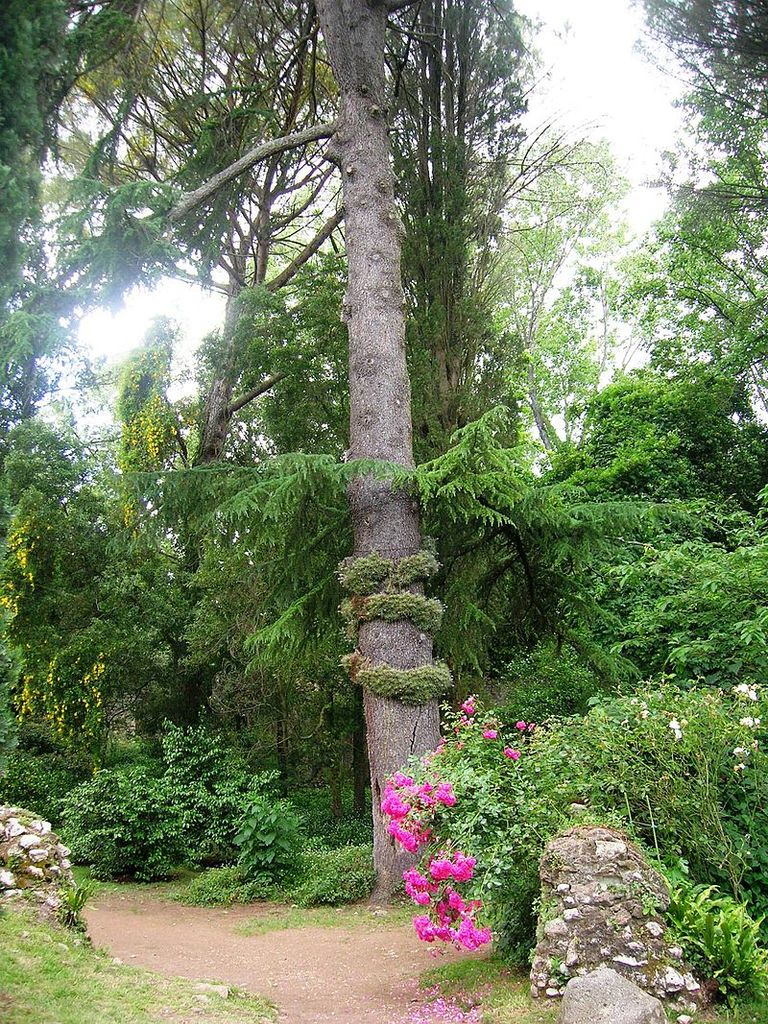 حديقة نينفا الإيطالية