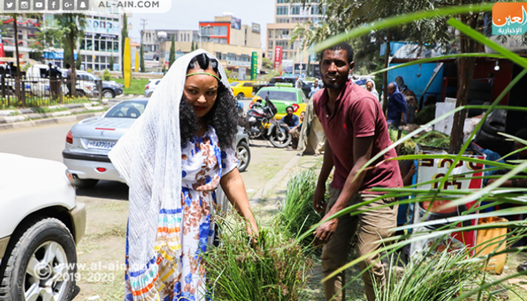 امرأة إثيوبية تشتري حزمةً من نبتة "القاطيما".