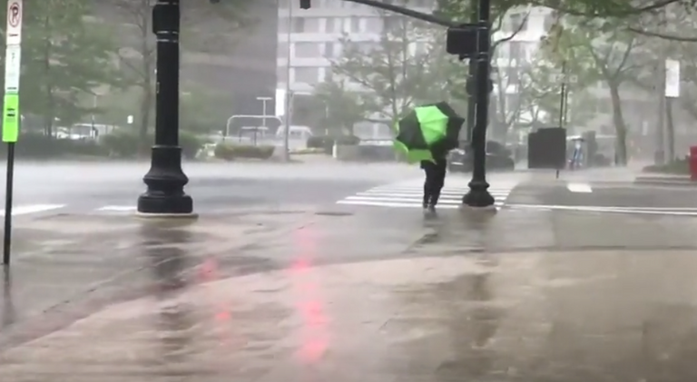 رياح تقتلع الأشجار في واشنطن