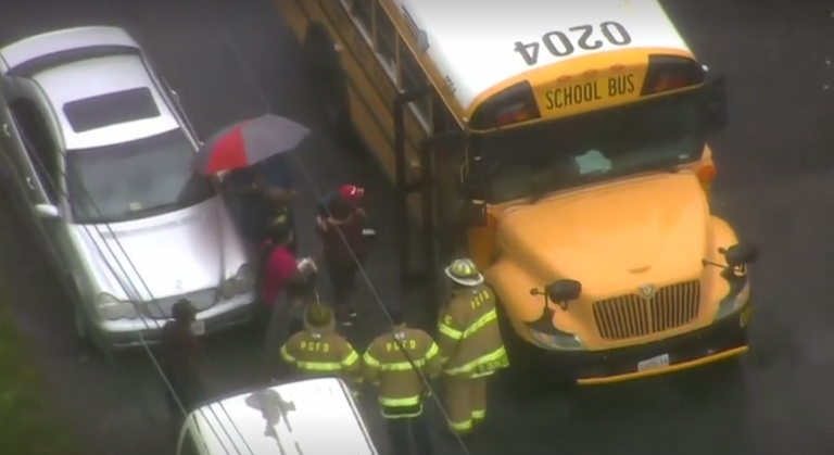 رياح تقتلع الأشجار في واشنطن