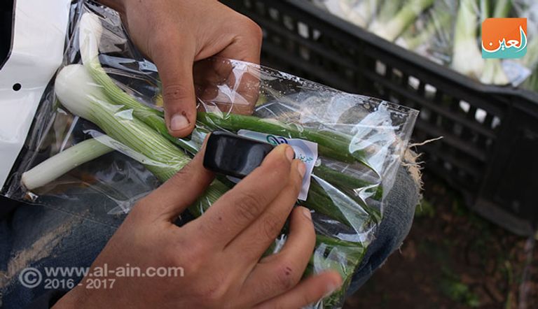 شرب 3 لترات من المياه على الأقل يخلصك من الأملاح الزائدة