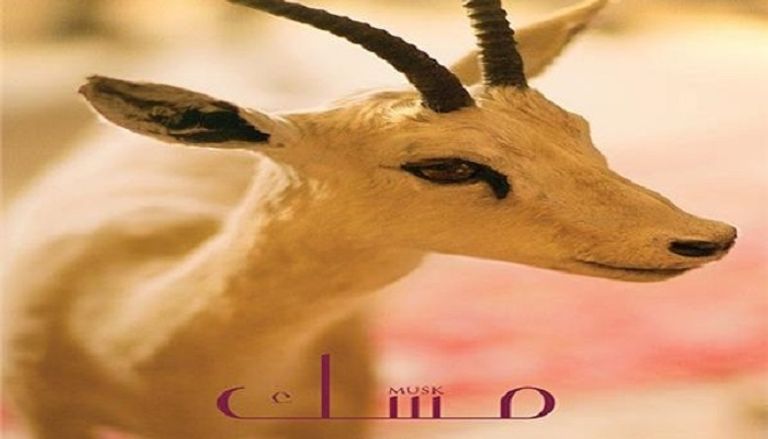 مهرجان "العين السينمائي" يكشف عن أسماء لجنة التحكيم والعروض الأولى